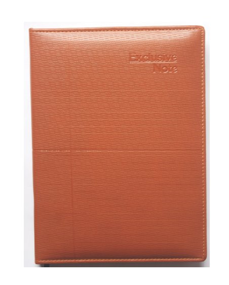 SB_Daily Note Book-01